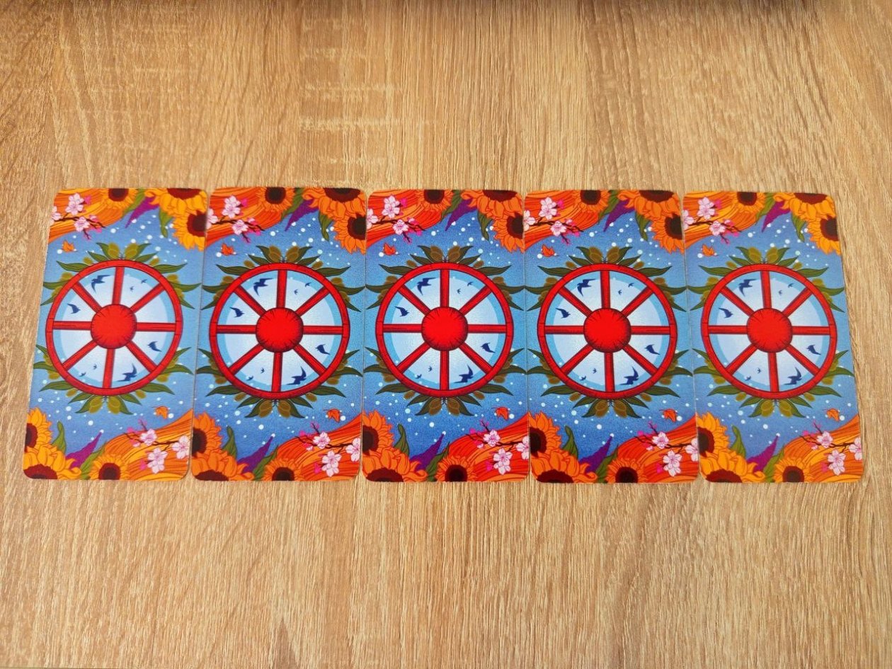 Тематическое фото Алина Демченко, ИА PrimaMedia