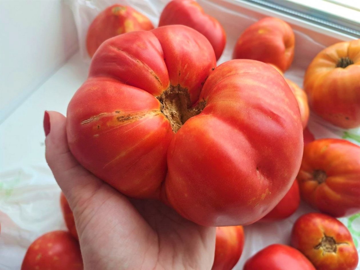 Тематическое фото Ольга Долгополова, ИА UssurMedia