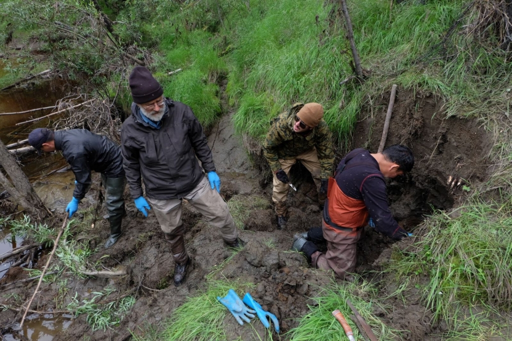 Установили мемориальную плиту на месте находки первого в мире мамонта в Якутии Министерство охраны природы РС(Я)