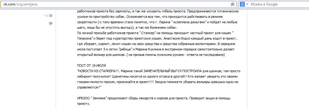 Плановый переезд приюта для собак и кошек как побег восприняли зоозащитники Приангарья, Фото с места события собственное