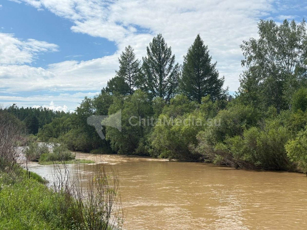 Загрязнение реки Кручина ИА ChitaMedia