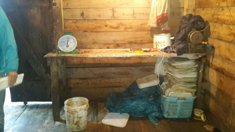 Икорный цех, Фото с места события из других источников