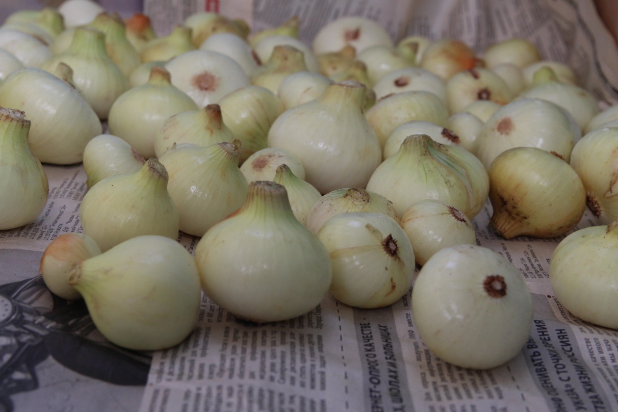 Лук ИА EAOMedia, Письменова Ксения