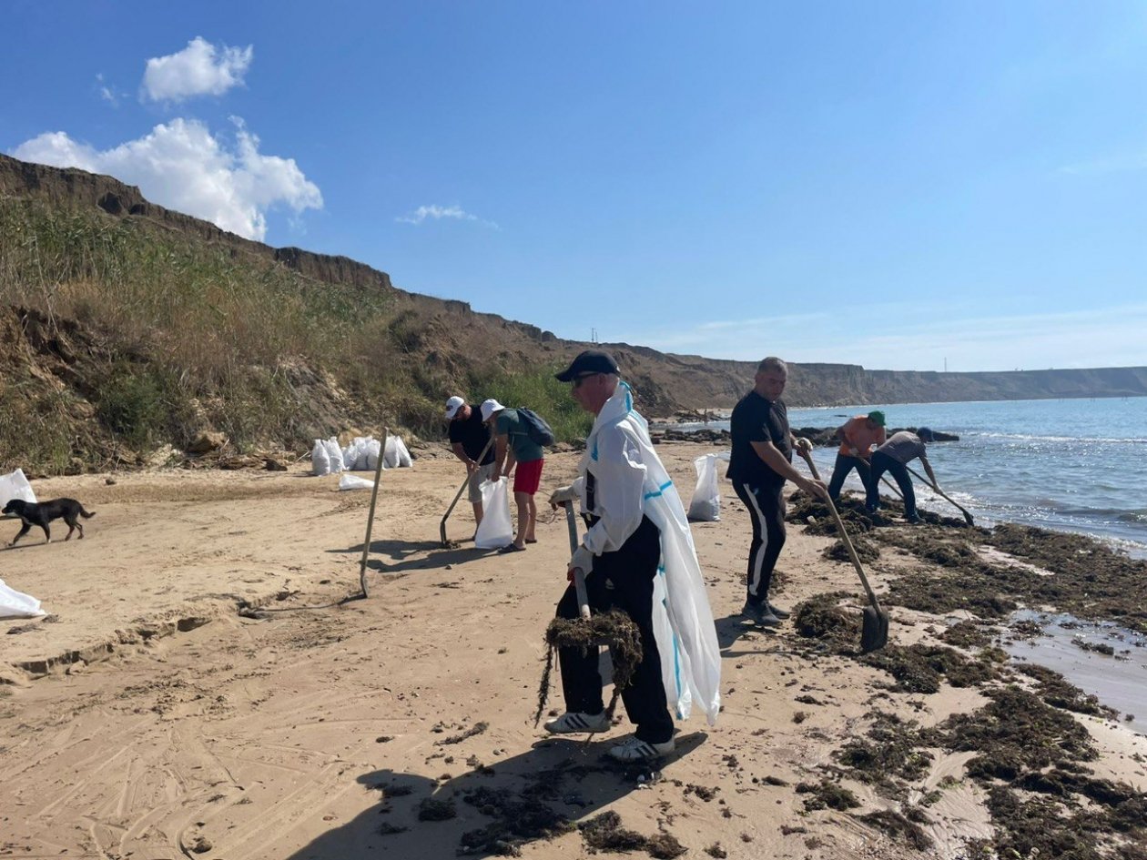 На побережье Тамани вновь обнаружили мазутные выбросы Оперштаб Краснодарского края t.me/opershtab23