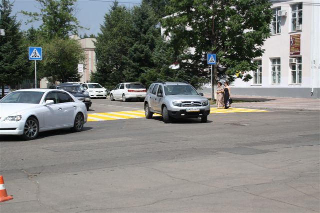 Зебры пожелтеют в Биробиджане к 1 сентября, Фото с места события собственное