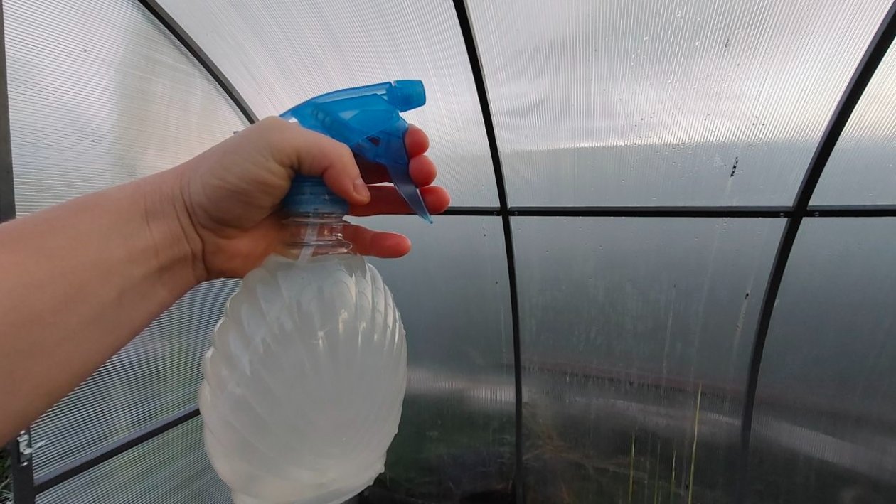 Теплица Автора