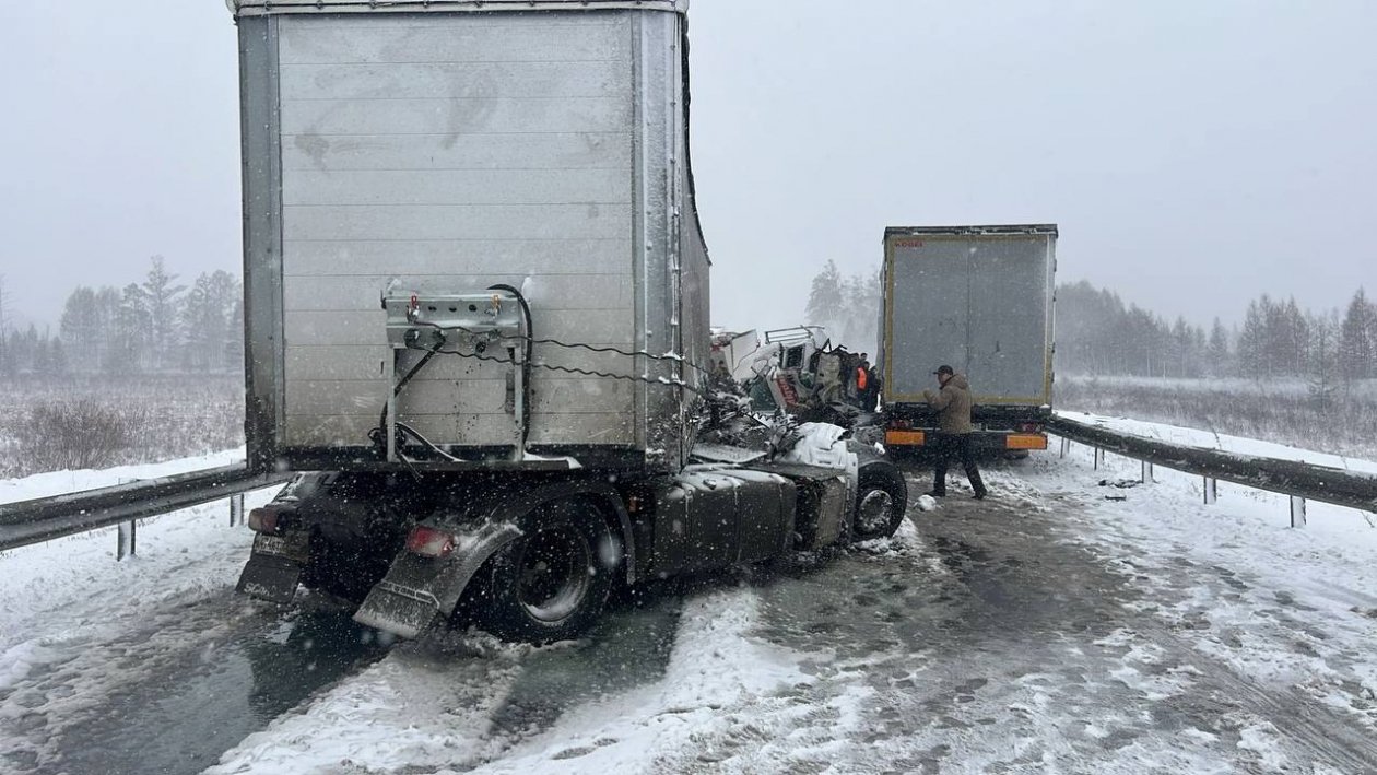 Госавтоинспекция Амурской области