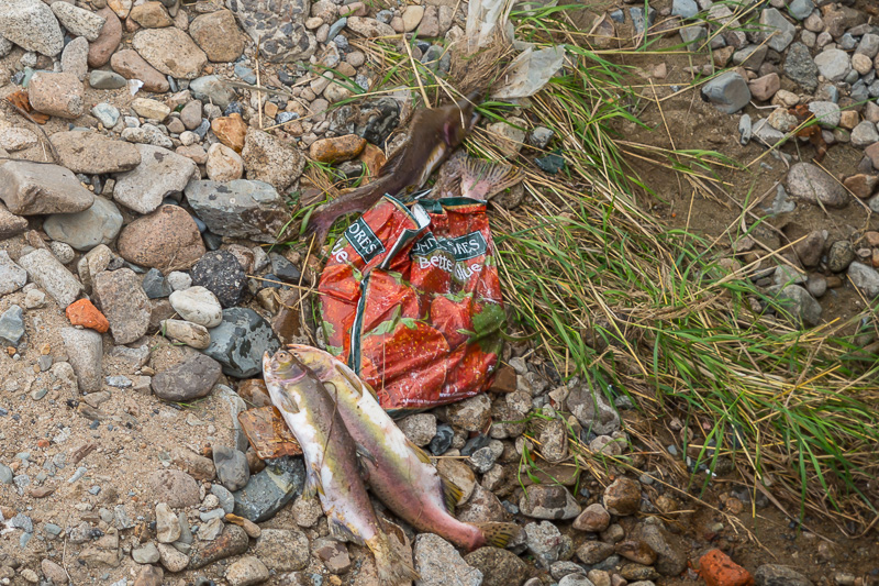 Добыча рыболовов, Фото с места события собственное