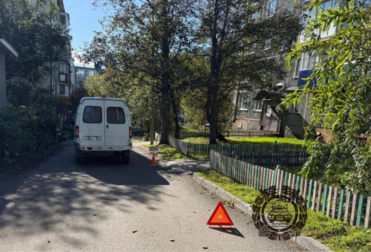Госавтоинспекция по Камчатскому краю