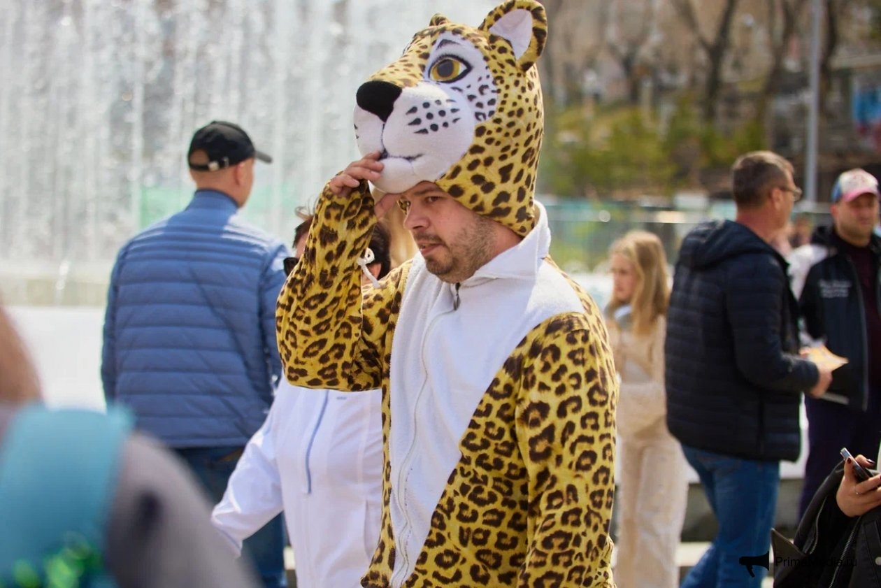 Дмитрий Осипчук, ИА PrimaMedia