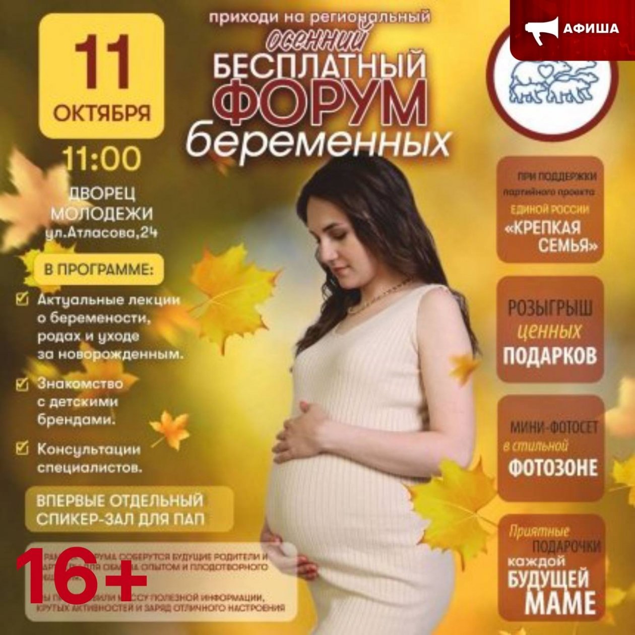 Организаторы