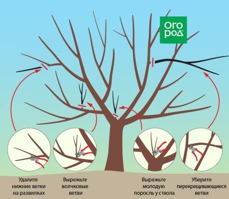 Автор канала