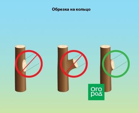 Автор канала