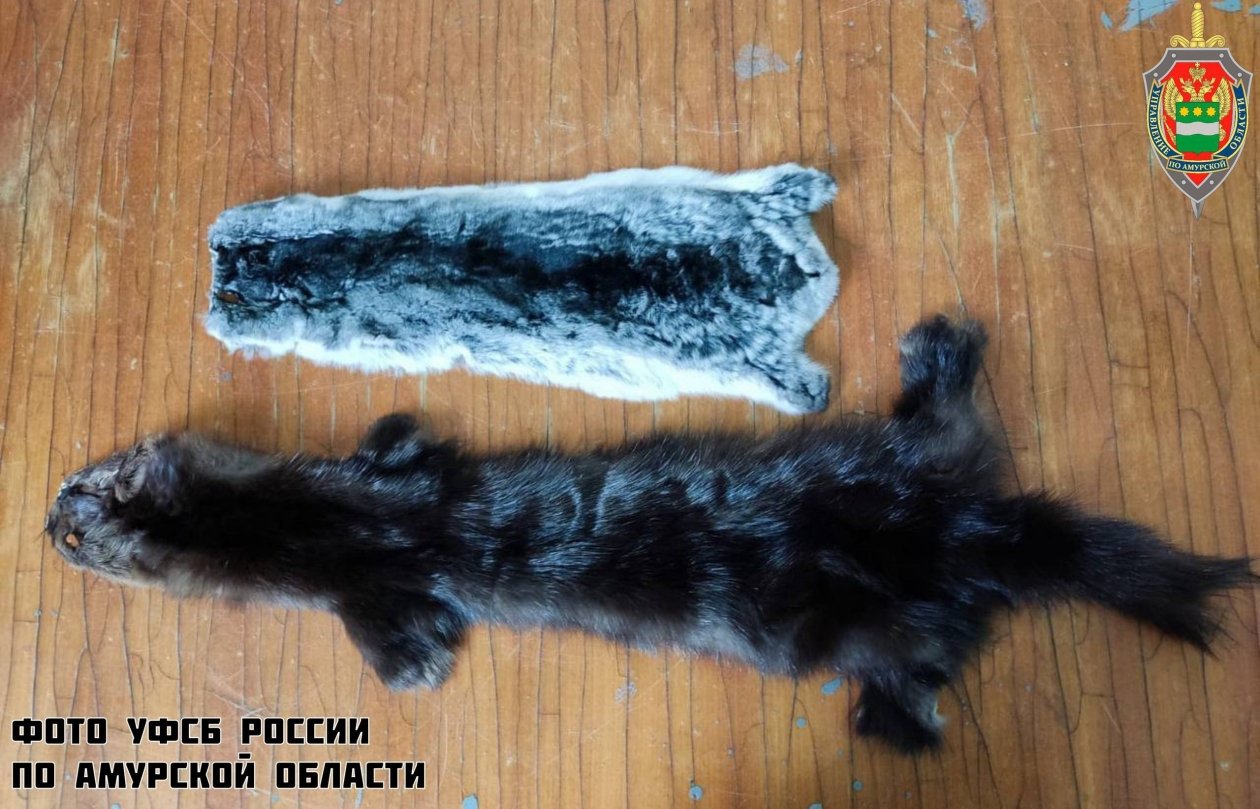 УФСБ России по Амурской области