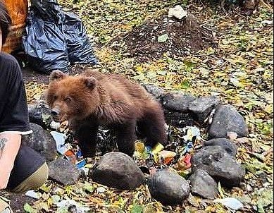 kamgov.ru