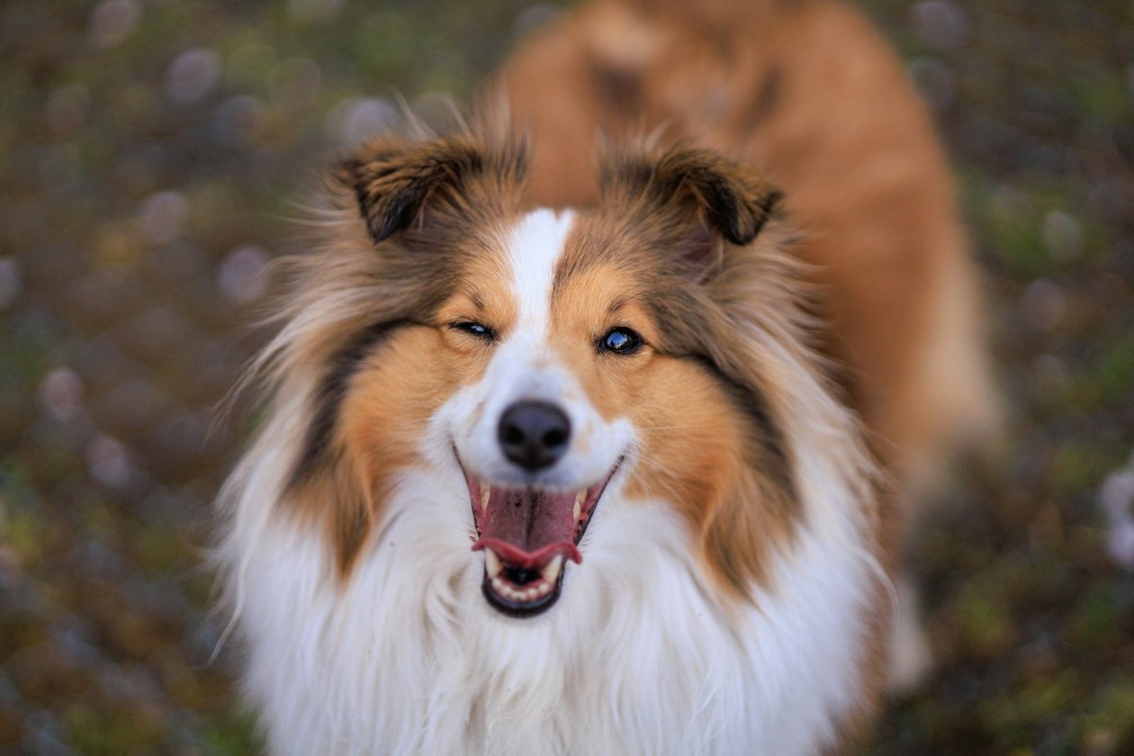 Barcs Tamás/unsplash
