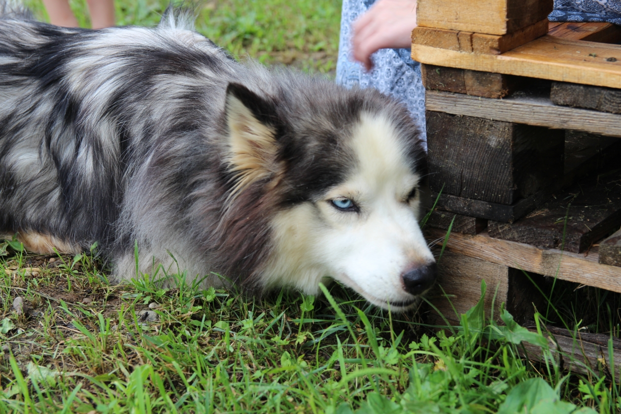 ИА EAOMedia, Письменова Ксения