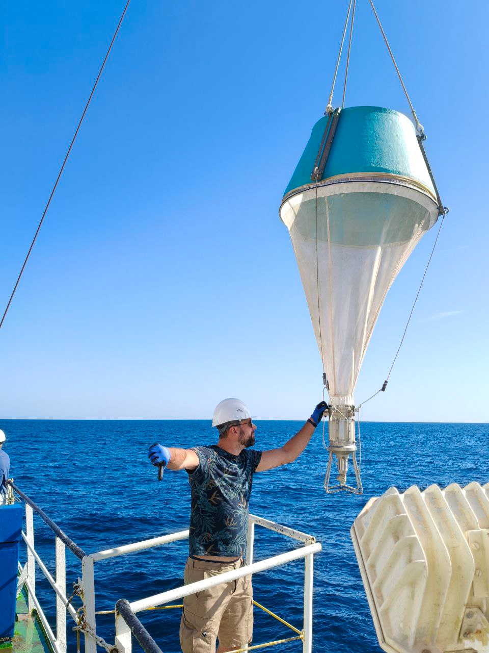 Пресс-служба ФИЦ ИнБЮМ им. О. Ковалевского РАН