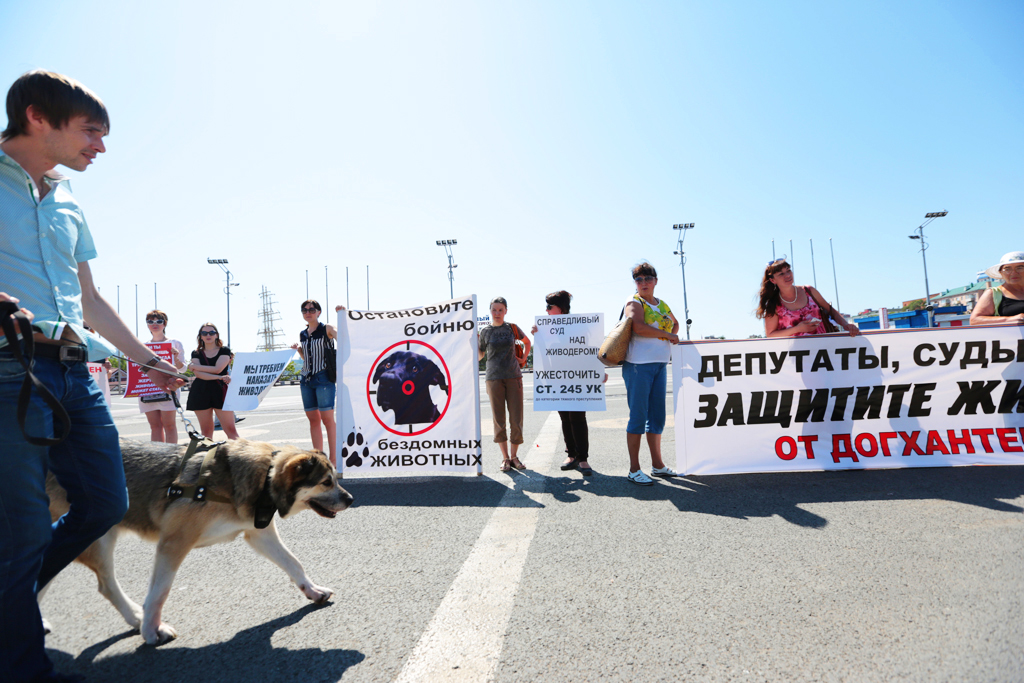 Призыв остановить бойню, Фото с места события собственное