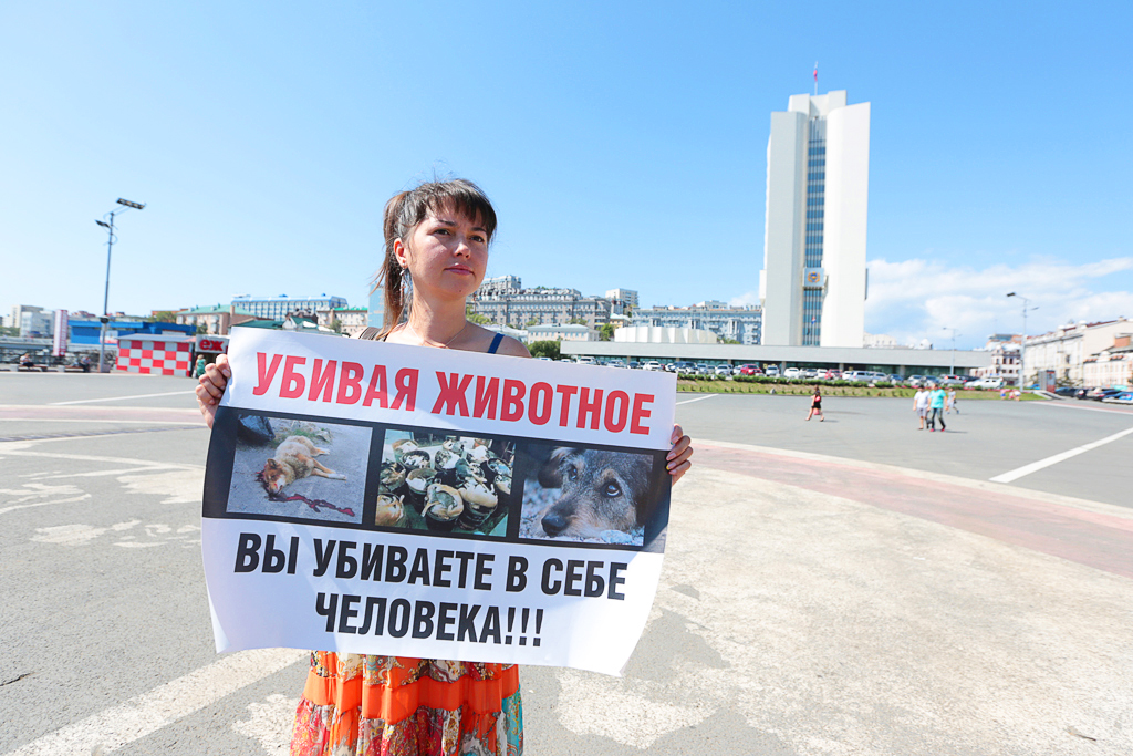 Девушка с плакатом, Фото с места события собственное