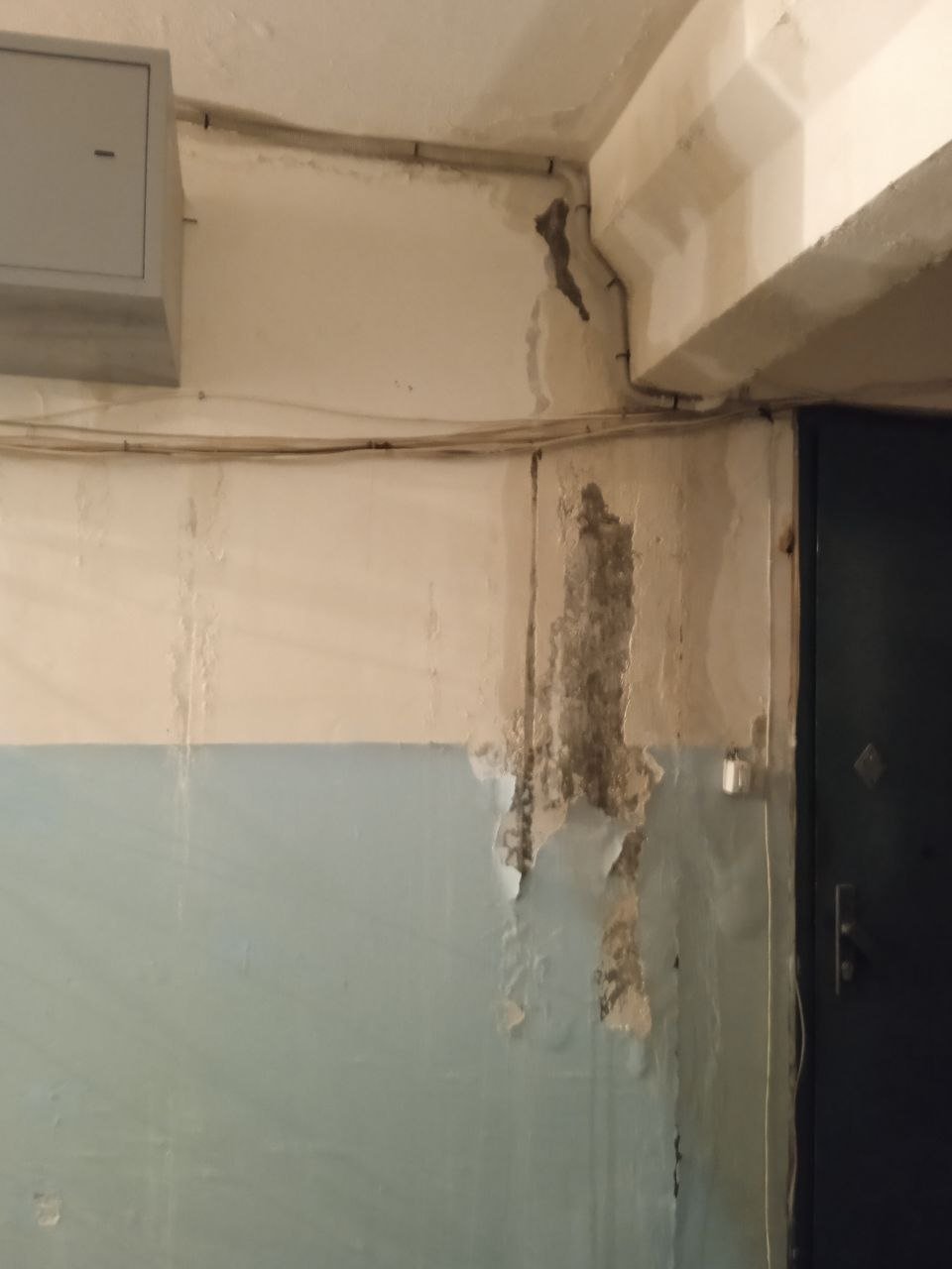 Очевидец, чат МЦУ в Telegram (18+)