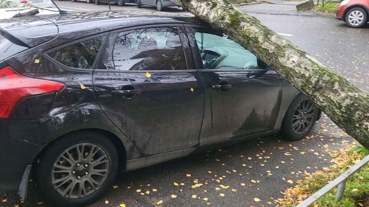 Телеграм-канал 