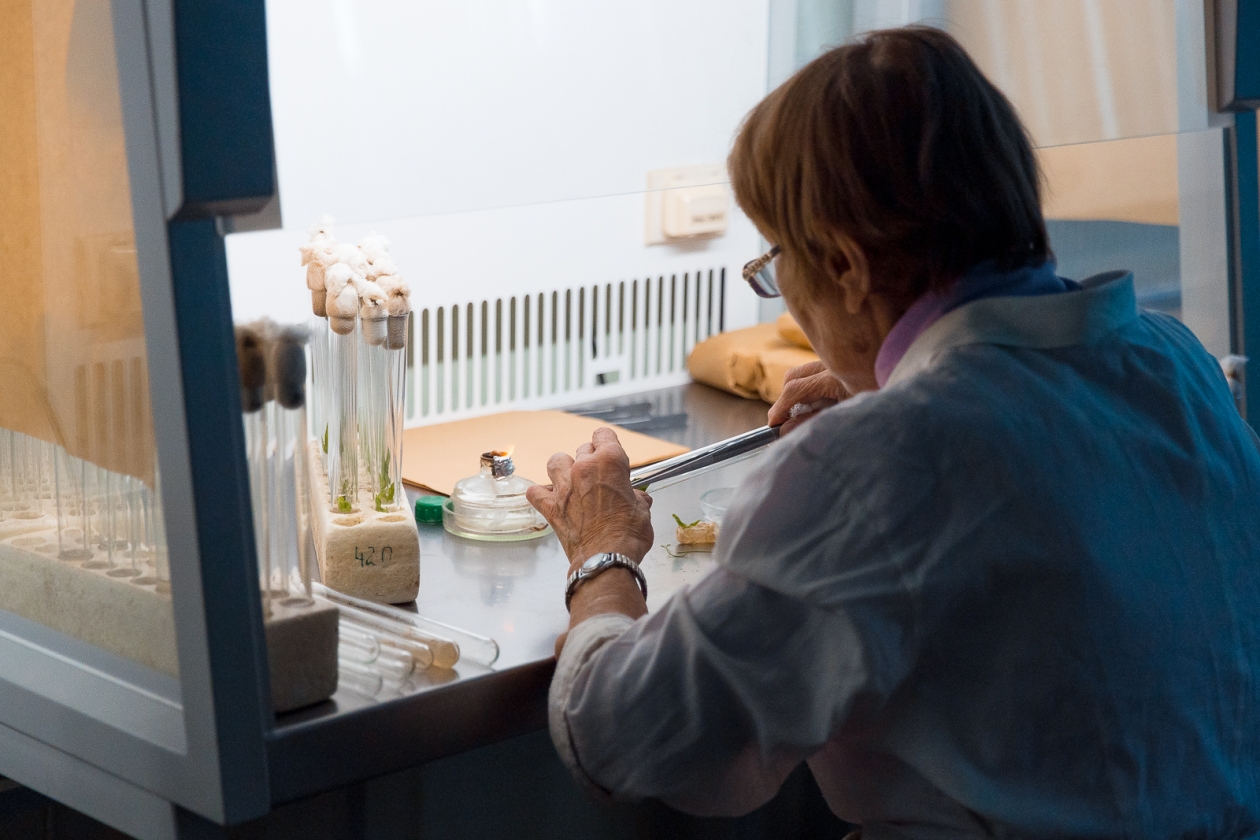 Илья Аверьянов, ИА PrimaMedia