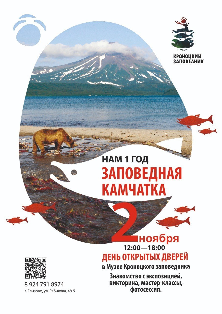 Организаторы