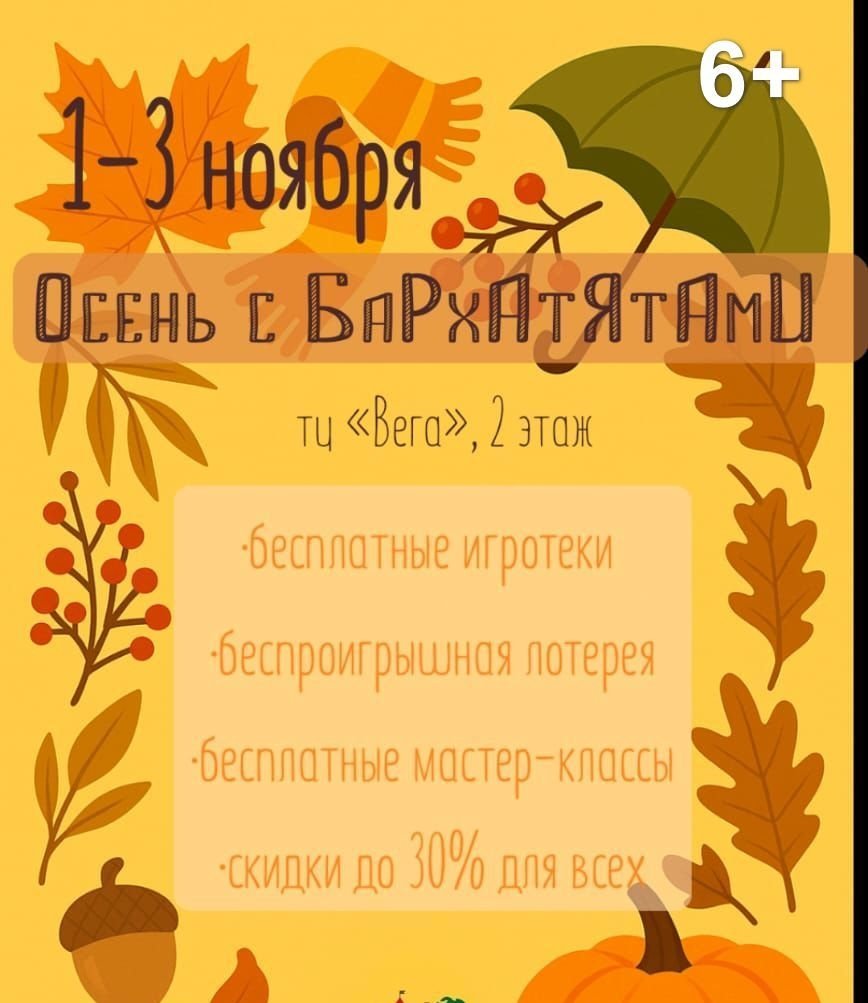 Организаторы