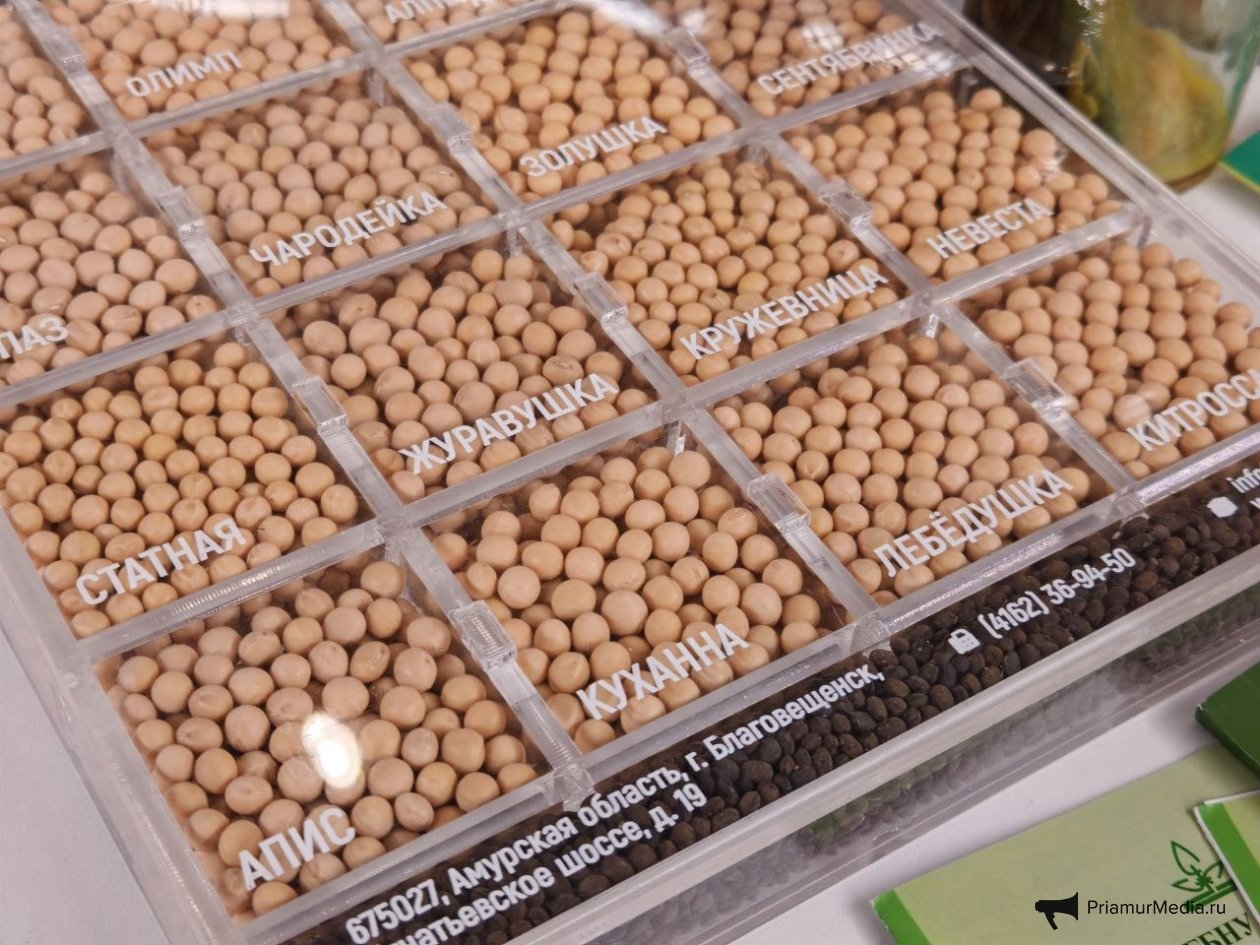 Юлия Ожегова, ИА PriamurMedia