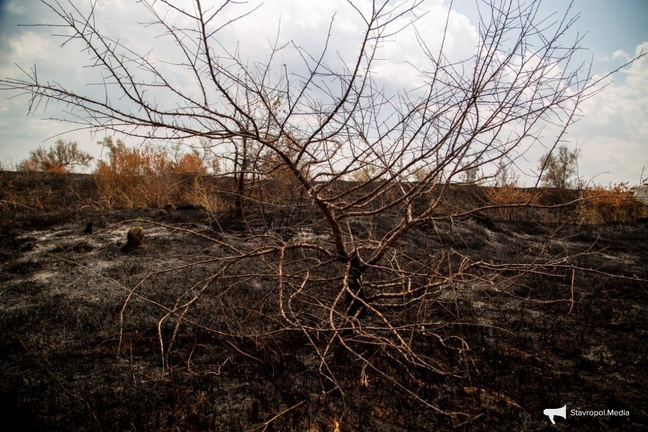Угроза водного стресса у Ставрополья оказалась самой высокой в стране ИА Stavropol.Media