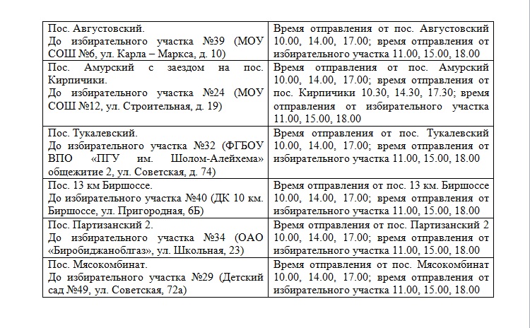 Расписание движения спецавтобусов в день выборов, Фото с места события собственное