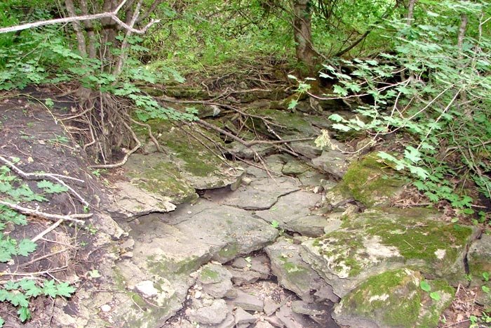 минприроды Ставрополья