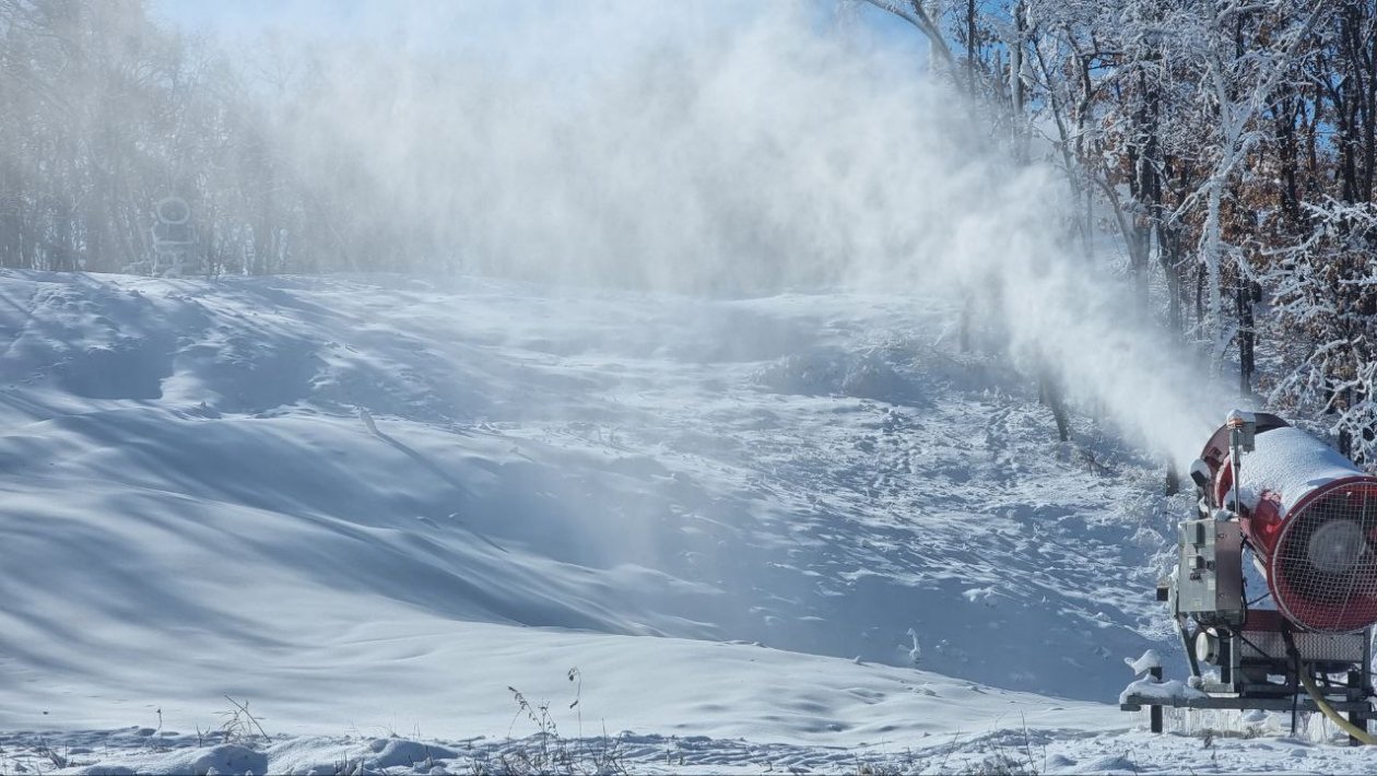 министерство по физической культуре и спорту Амурской области