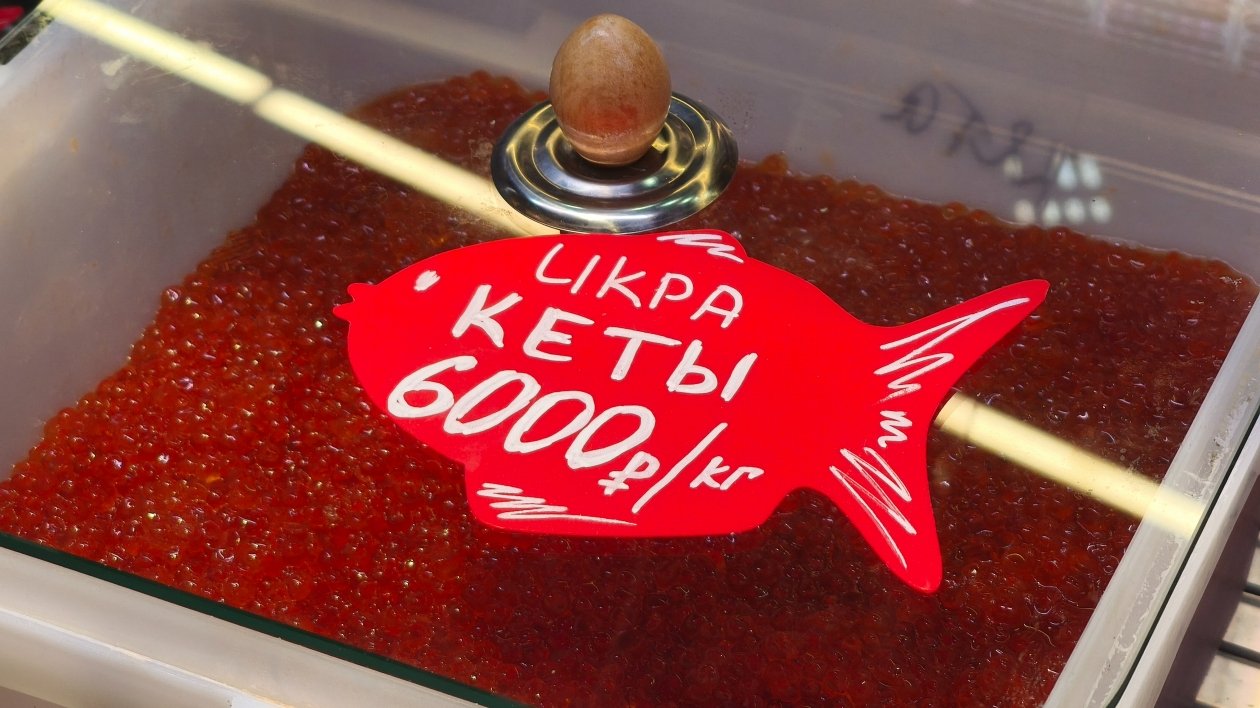 Ирина Васильева, ИА KamchatkaMedia