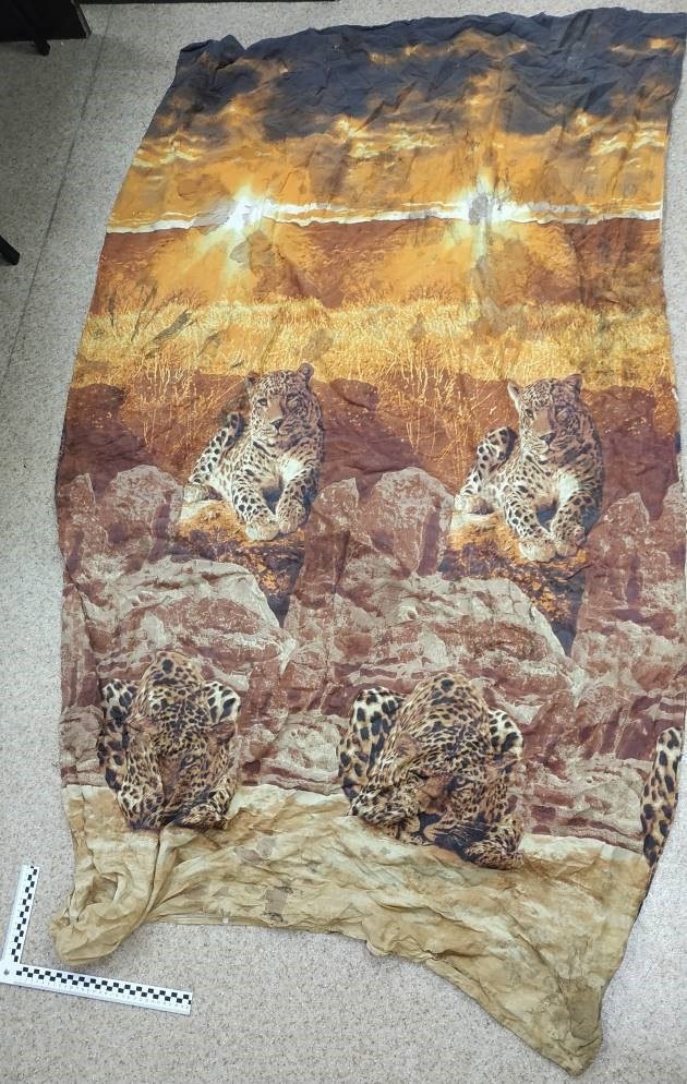 УМВД РФ по Камчатскому краю