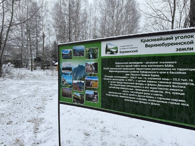 Буреинский заповедник