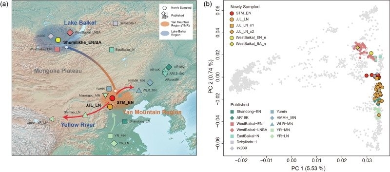 предоставлено ИГУ