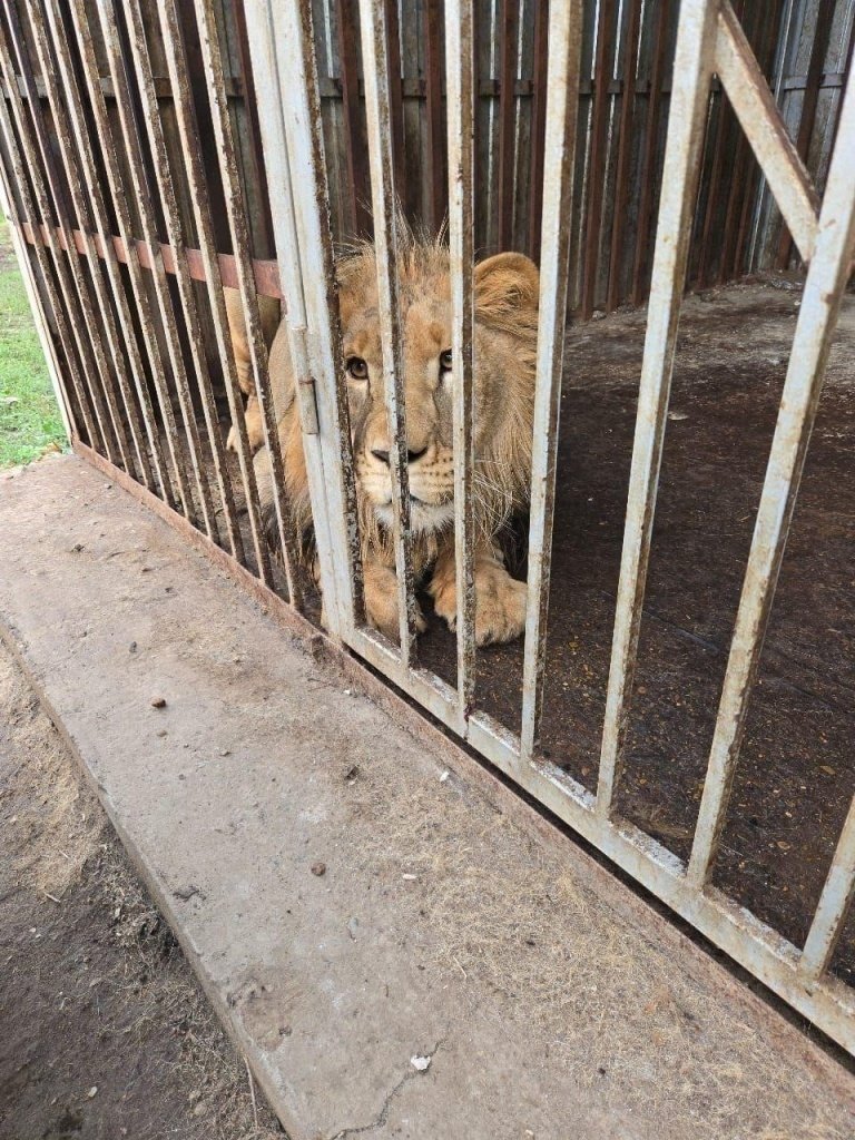 пресс-служба Росприроднадзора