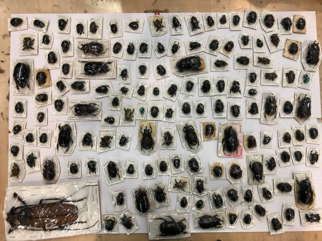 Федеральная таможенная служба