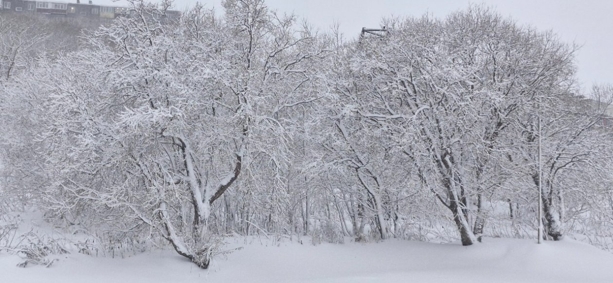 Опять циклон! ИА KamchatkaMedia