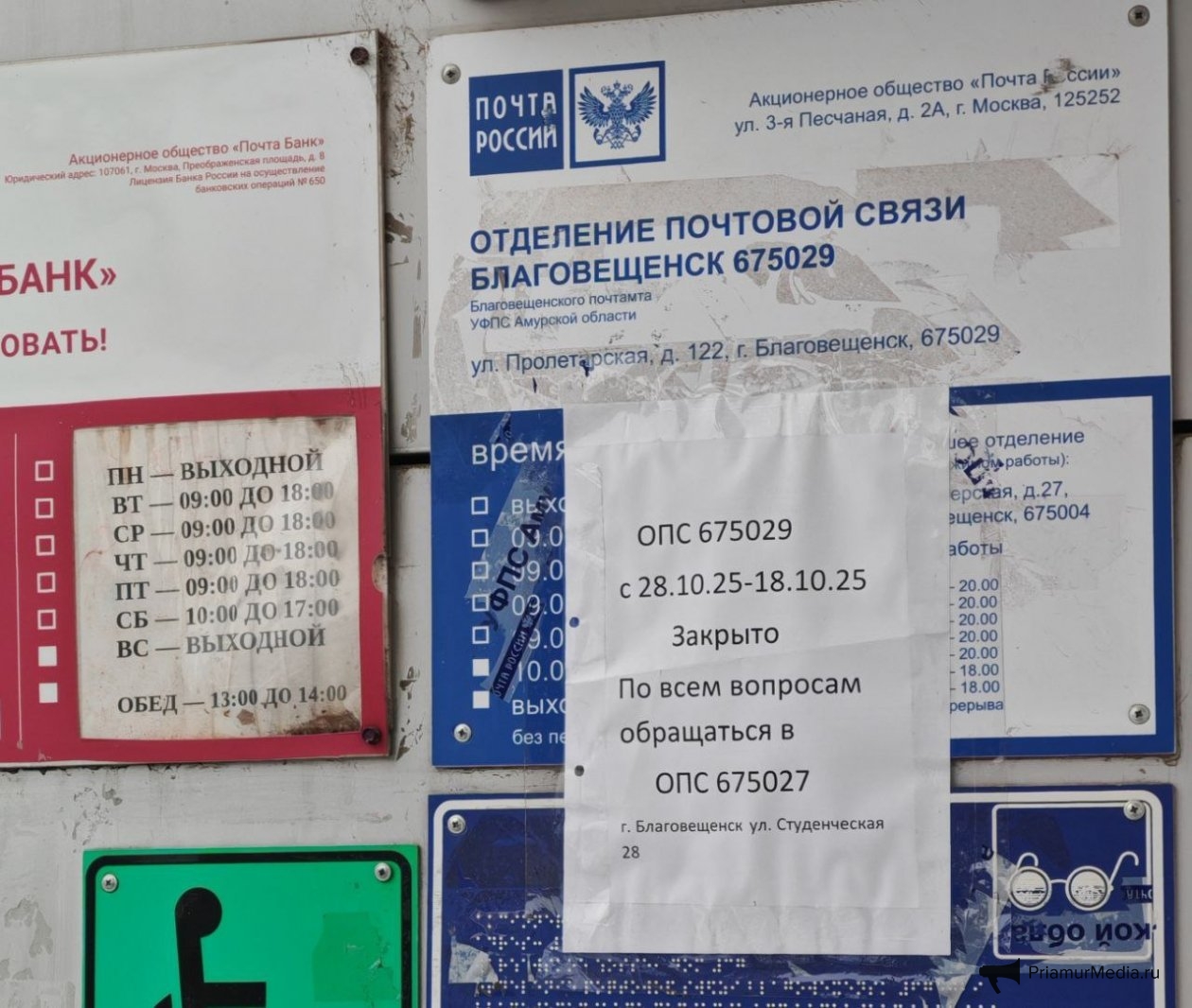 Юлия Ожегова, ИА PriamurMedia