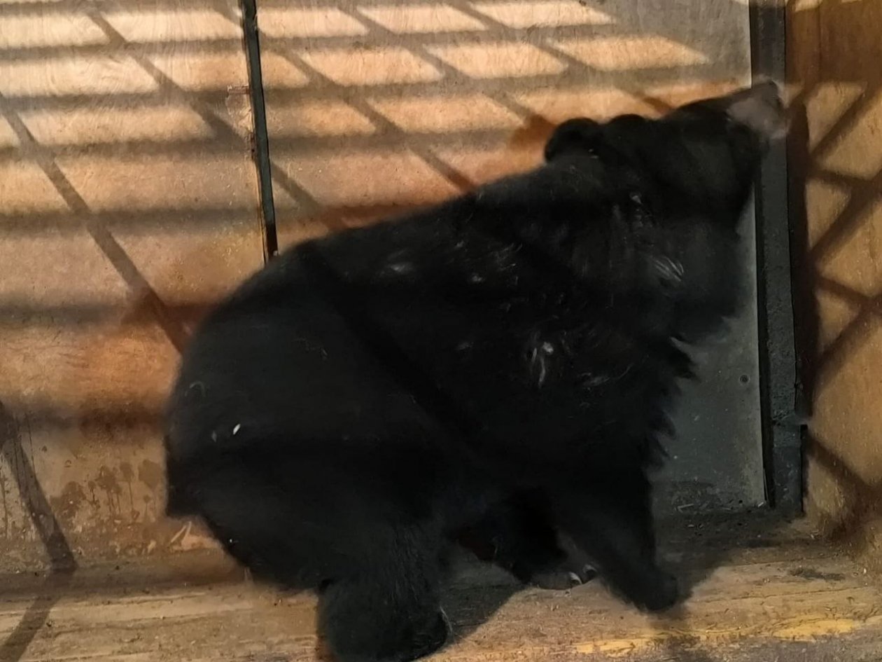 тг-канал (18+) Центра реабилитации