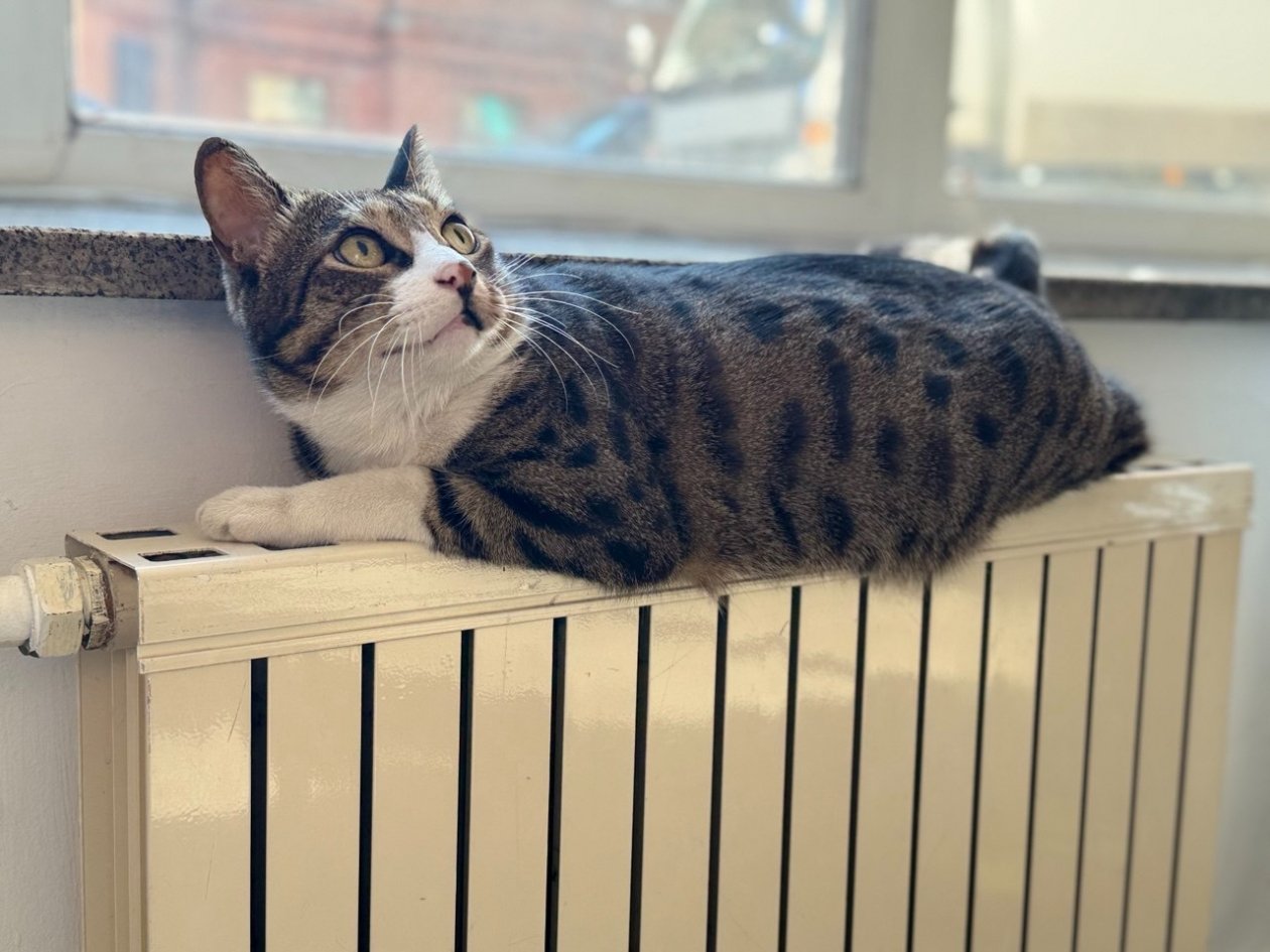 Батарея под охраной Марина Голикова, ИА UssurMedia