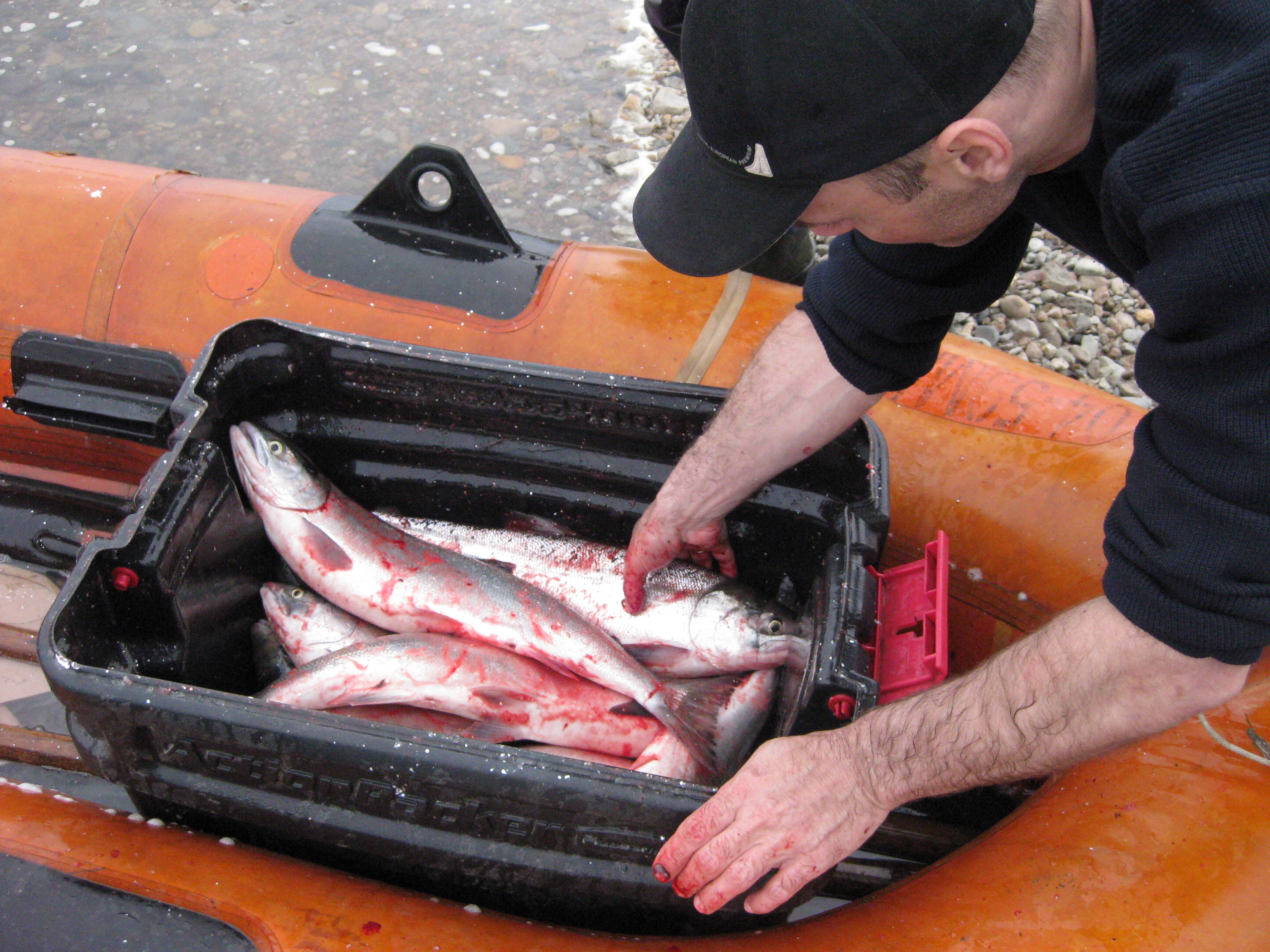 Игорь Чёрный, ИА MagadanMedia