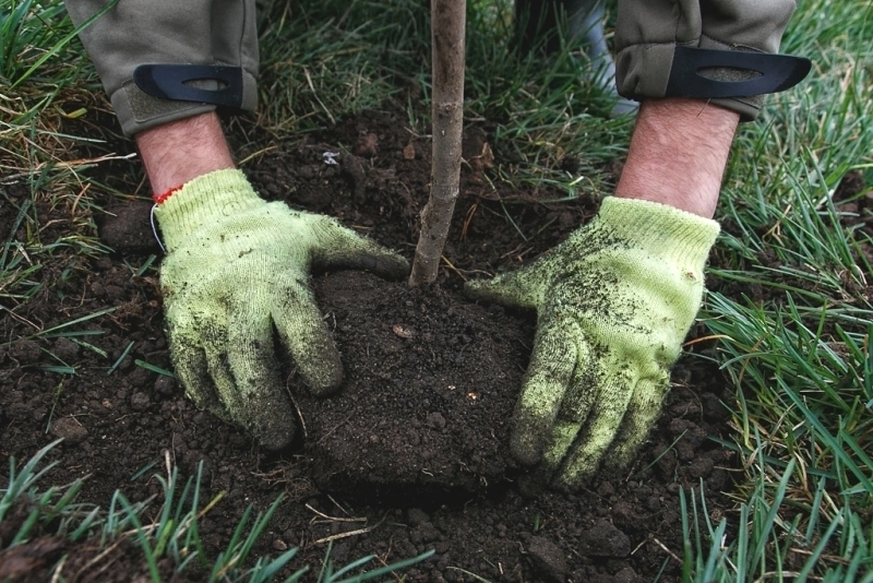 Тематическое фото ИА AmurMedia