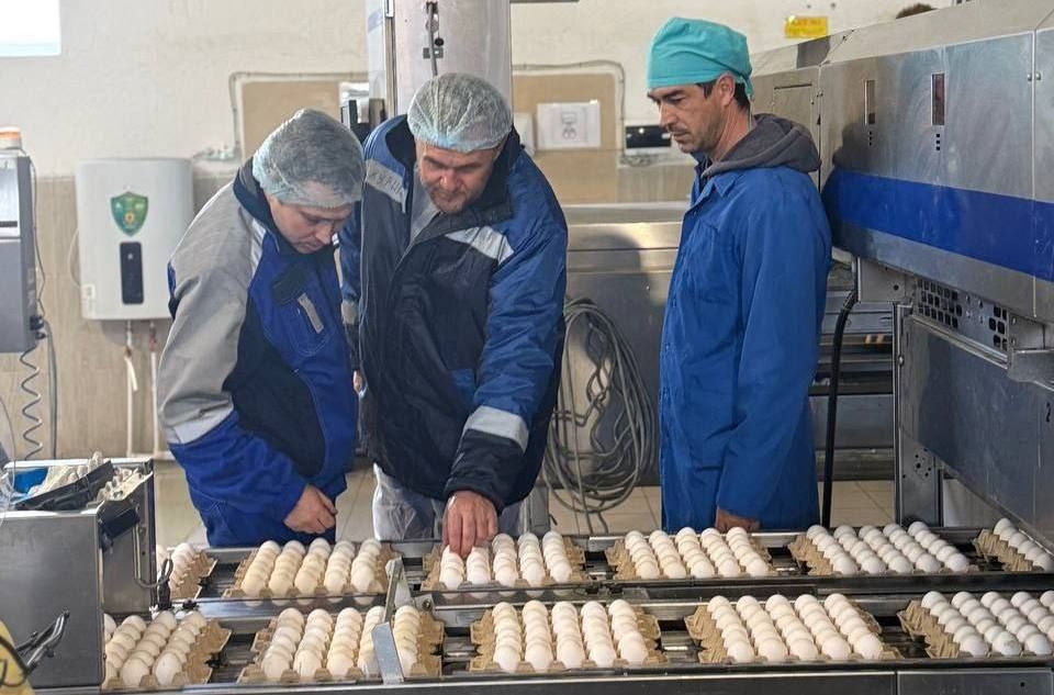 Тематическое фото Соцсети минсельхоза РК