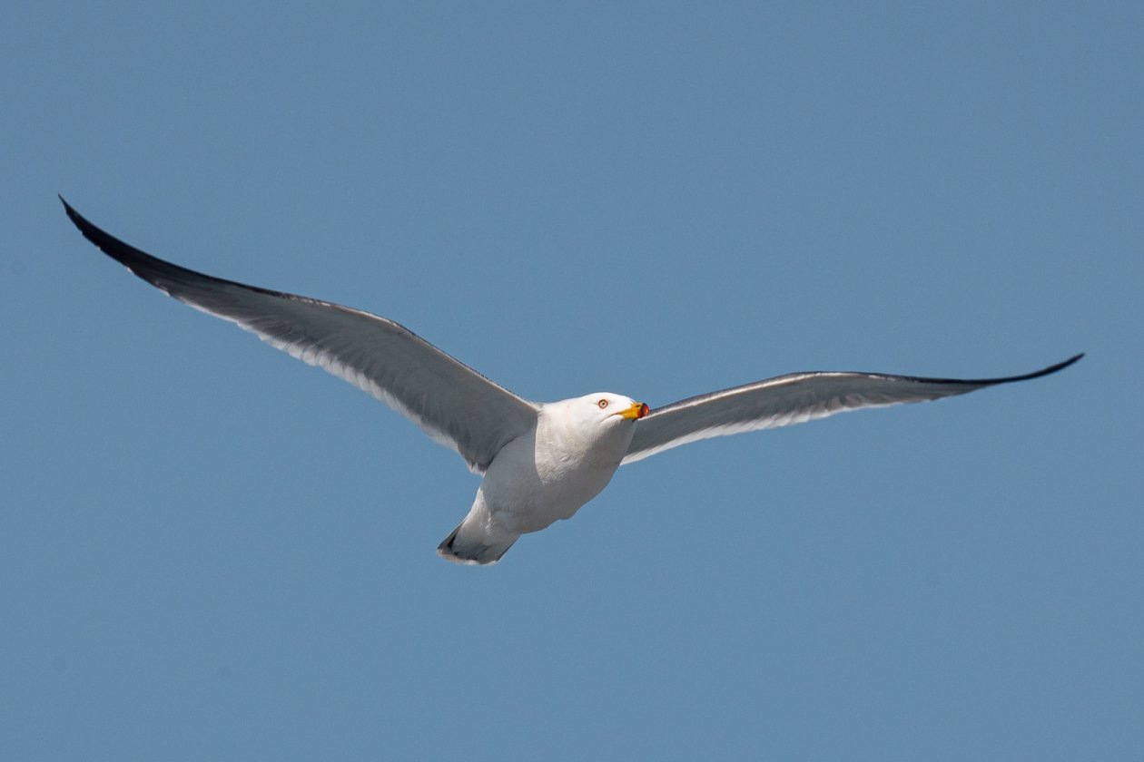 Тематическое фото ИА PrimaMedia