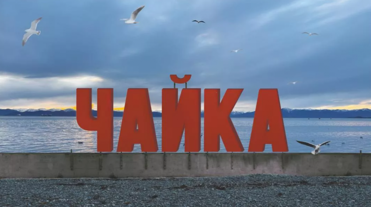 Организаторы