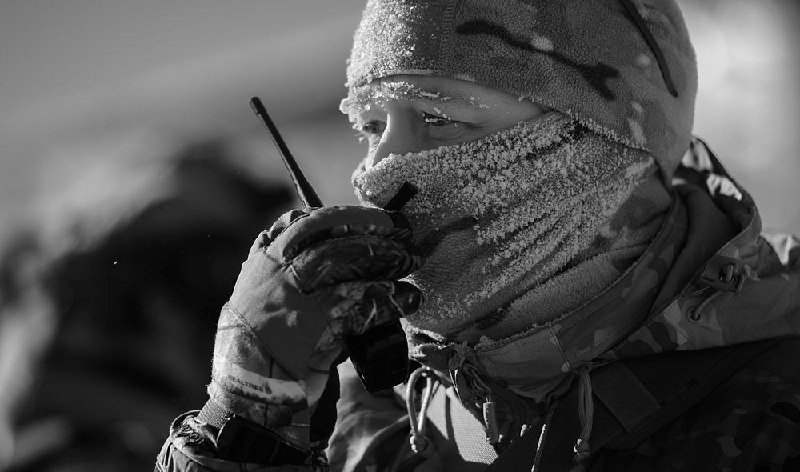 Дмитрий Ляшеев